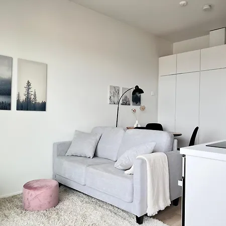 Modern Penthouse Studio With Private Terrace Apartment